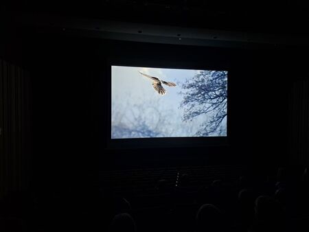 Bojevita kraljica noci 4